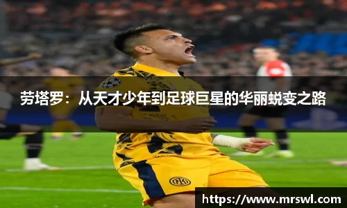 熊猫体育官网